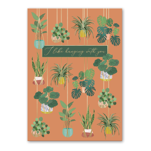 Hanging Plants Greeting Card Product