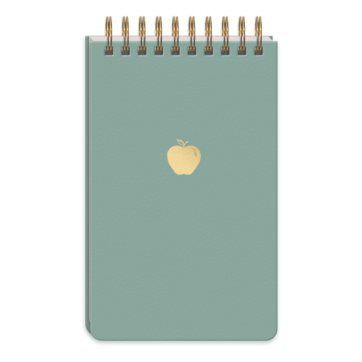 Teacher Icons Apple Spiral Notepad Product