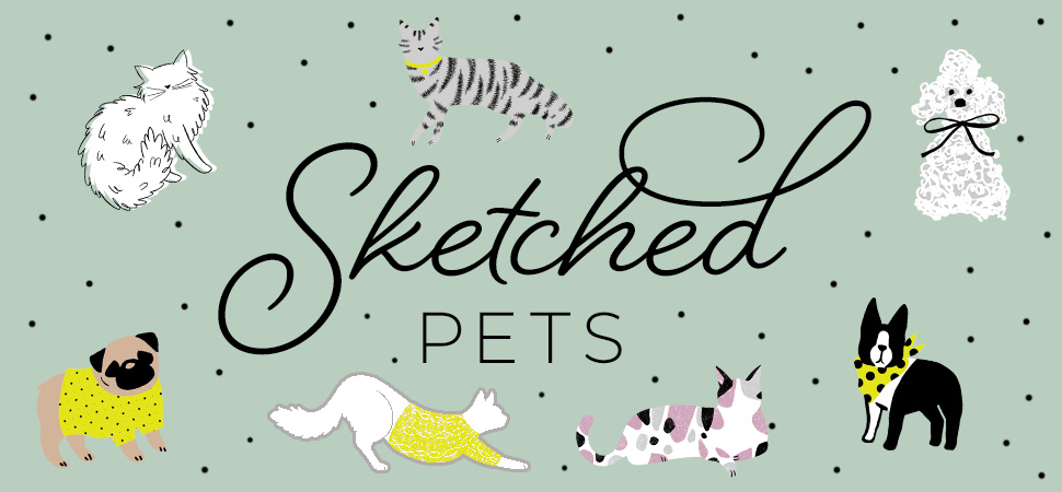 Sketched Pets