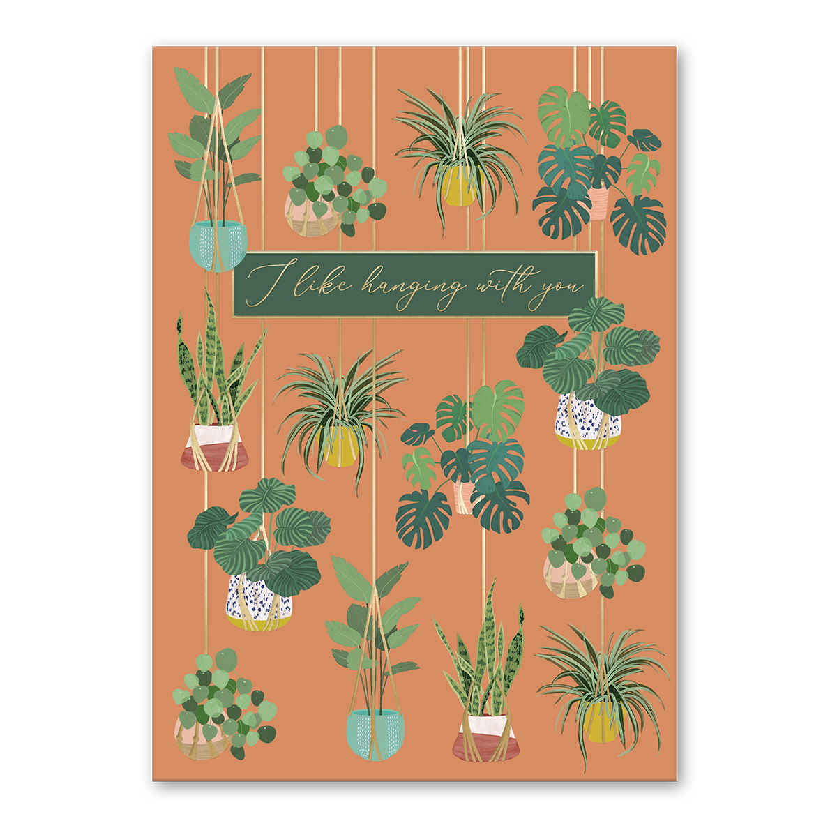 Hanging Plants Greeting Card Product